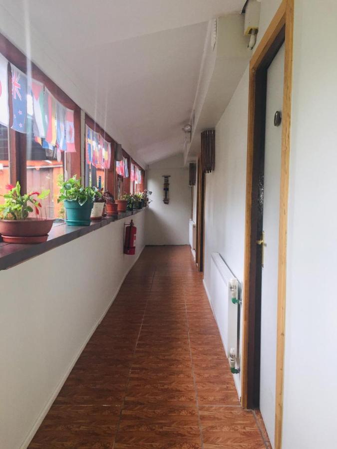 Hospedaje Irma Backpackers Pucon Exterior photo