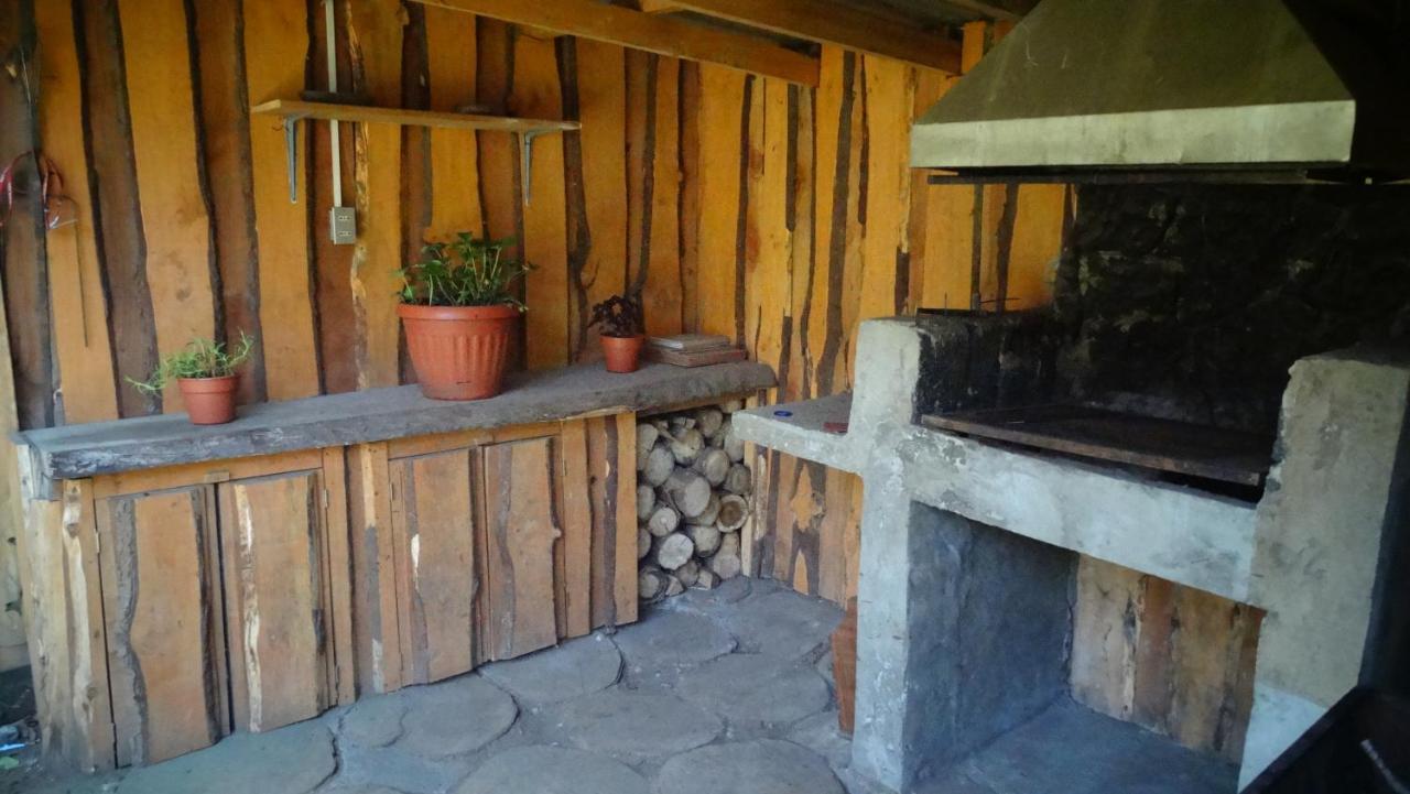 Hospedaje Irma Backpackers Pucon Exterior photo